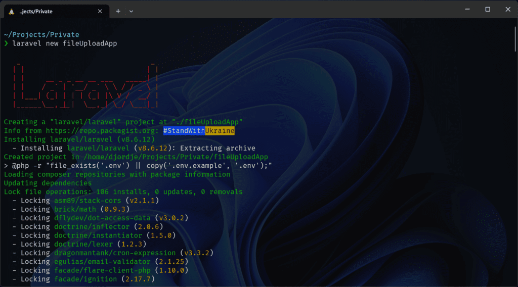 Installed laravel for the new project using laravel installer